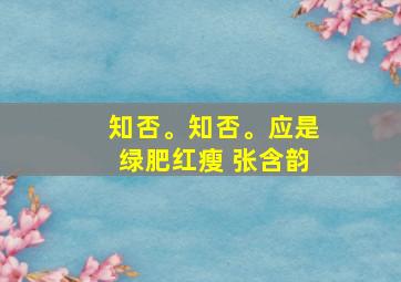 知否。知否。应是绿肥红瘦 张含韵